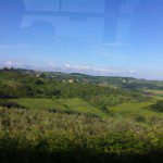 Tuscana Vineyard