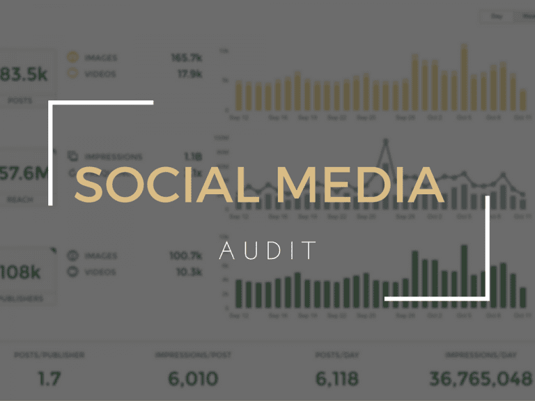 social media audit