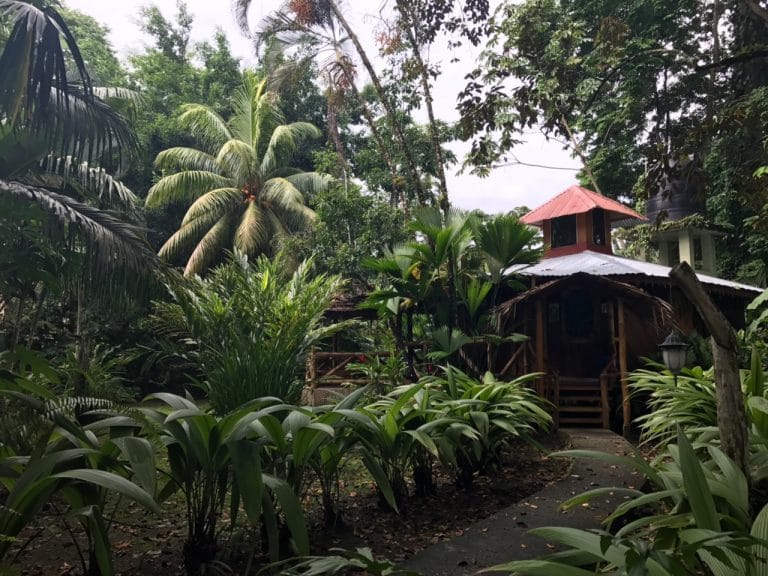 melissa divietri costa rica