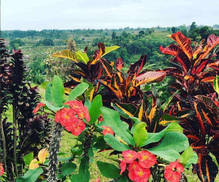 melissa divietri travel