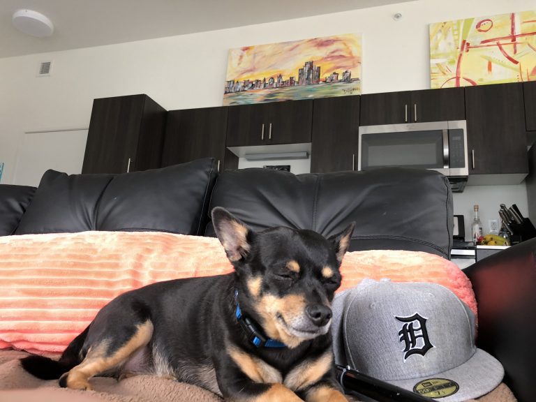 melissa divietri social