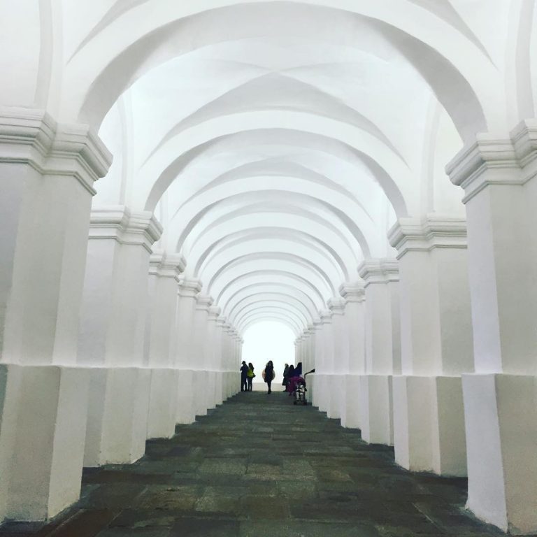 melissa divietri motivation