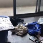 first detroit showcase