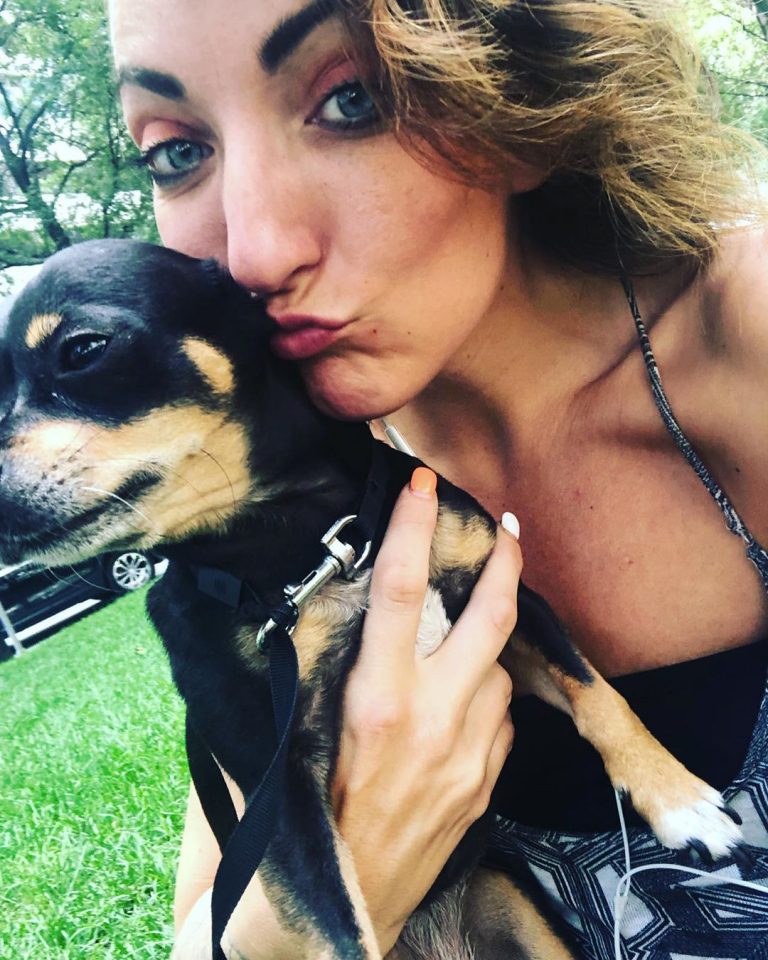 Chihuahuas of Instagram