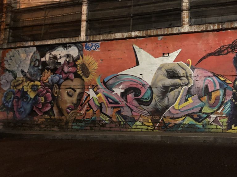 melissa divietri medellin