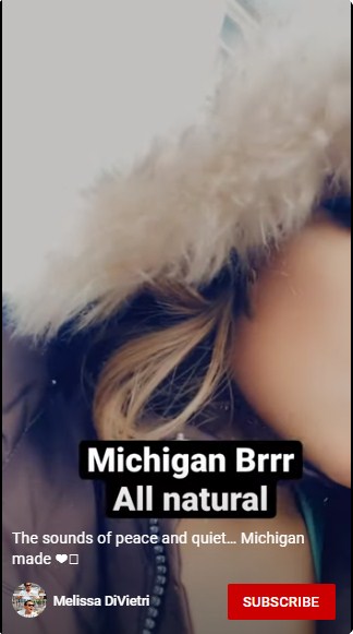 Michigan made