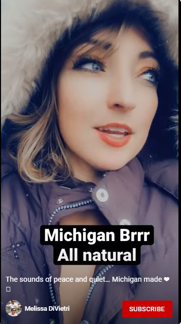 Michigan made