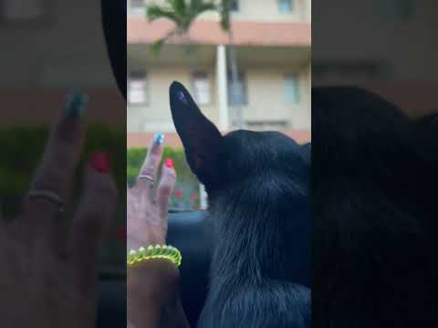 Breaking Barriers with My Forearm Crutches 💪 #DifferentlyAbled