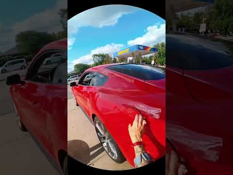 Traveling With My Service Animal CoCo #DifferentlyAbledLife