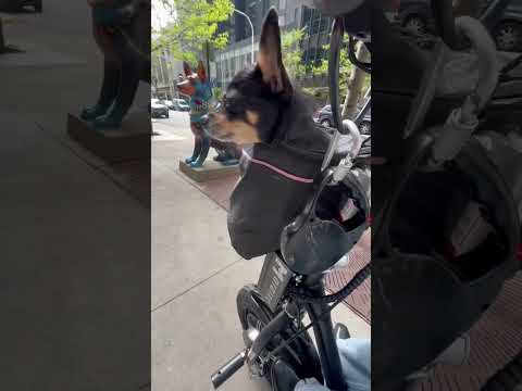 Differently Abled Woman Is Independent & Happy! #differentlyabled