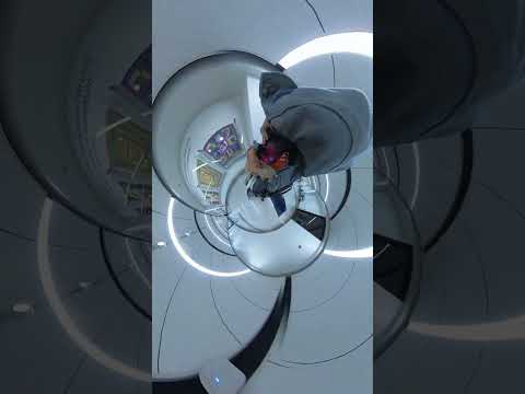 Service Animal travels