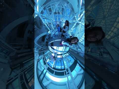 Rolling through Abilities Expo reminded me why I keep pushing forward