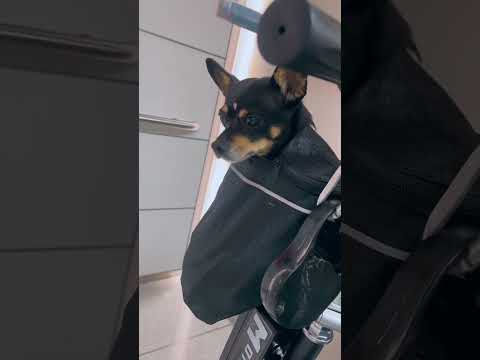 Steps Toward Freedom on Crutches 🕊️ A Woman’s Journey to Living Fully on Her Own Terms #FreedomSteps