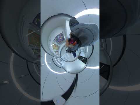 Service Animal travels