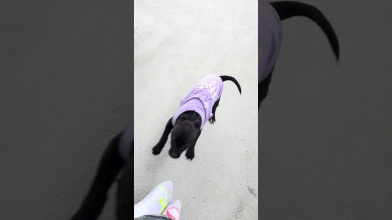 From Limitations to Liberation – I Found Freedom on Wheels and a World Waiting to Be Explored 💫