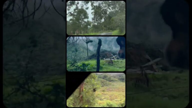 Uniquely Abled Woman Navigates Busy Days on Crutches ⏰ Finding Balance and Joy in Every Step She