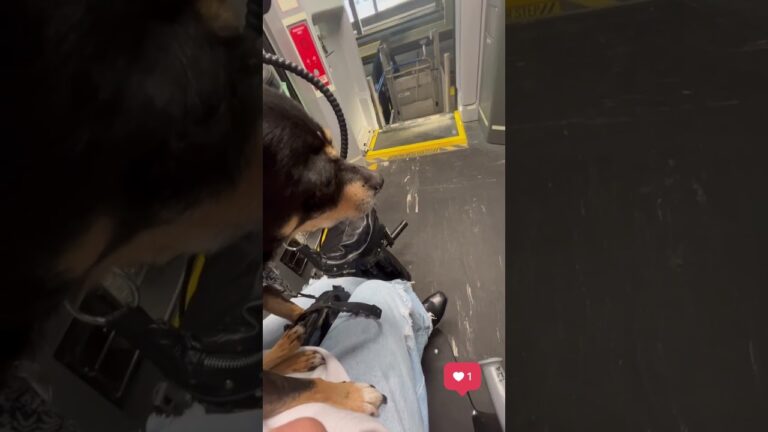 Steps of Strength on Forearm Crutches 🦿 Woman’s Journey Through City Streets and Smiles #UrbanSteps