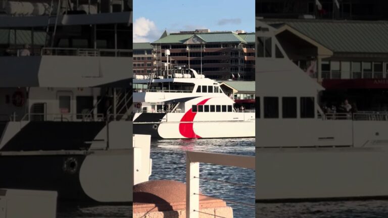 Yachts in Tampa Florida