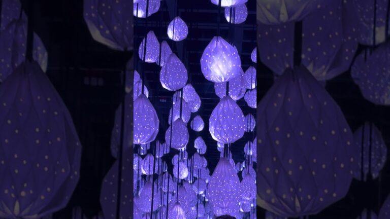 Crutch by Crutch, Frame by Frame 📸 – Capturing Artful Moments Across Vegas #DisabilityIsBeautiful