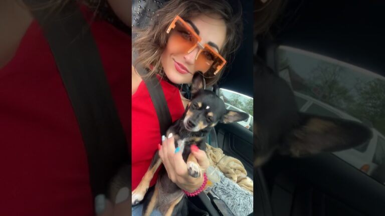 Disabled Woman on Crutches Carving Her Path ✨ Writing Her Own Rules for Life, Joy, and Independence