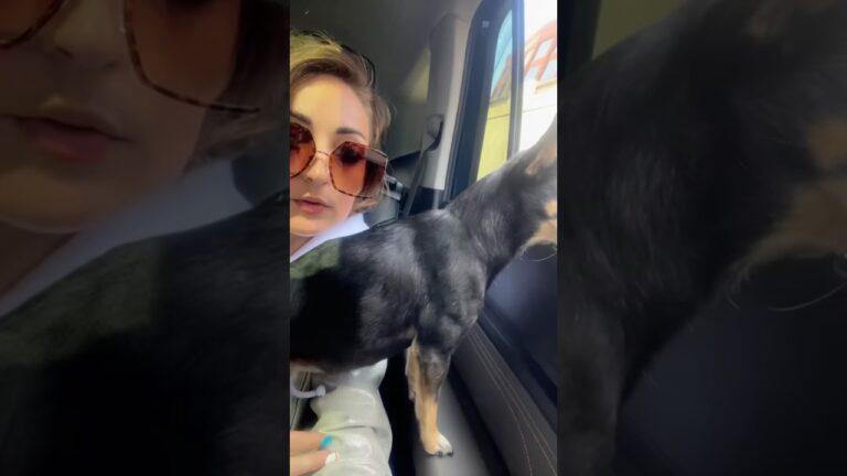 Differently Abled Woman Loves to Travel For Fun #differentlyabled