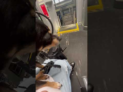 Differently Abled Woman Has More Faith Than Fear #differentlyabled