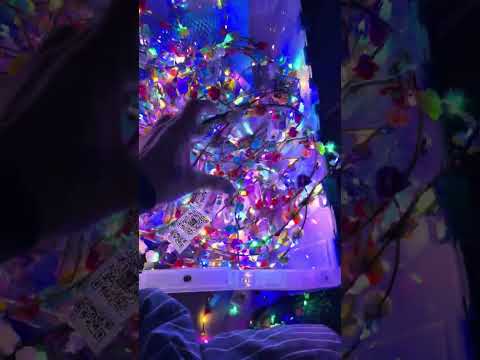 Differently Abled Abstract Artist Uses Tools of Strength 🦽 – Creating Color While Defying Every