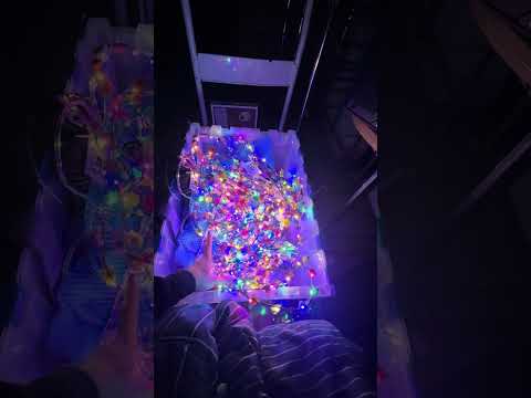 My Disability Fuels My Creativity 🎨 – How I Paint Through Pain and Still Find Power in the Process