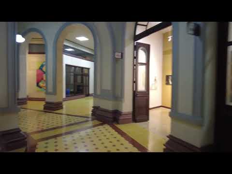 Uniquely Abled Woman Uses Forearm Crutches In Medellin #DisabledArtist