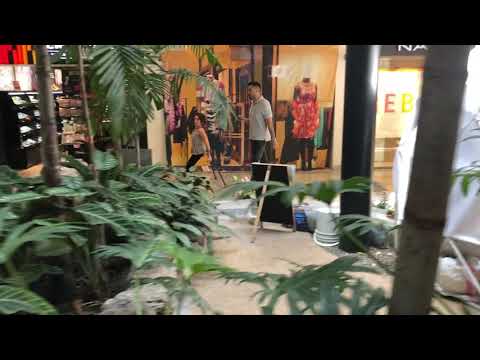 Living Boldly Abroad With Crutches in Medellín’s Hustle 🌆 #WalkingDifferently