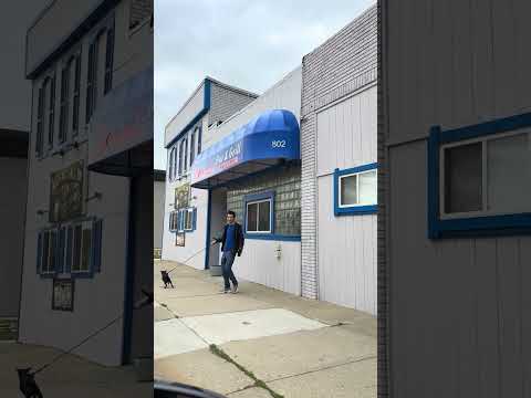 Service Dog’s Heartwarming Stroll with New Friend in Michigan 🐾 #ServiceDogAdventure