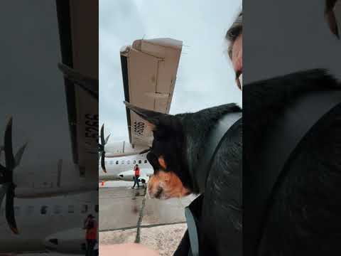 My Stride, My Style 💃 Owning Streets in Forearm Crutches With Fierce Moves and Unstoppable Spirit