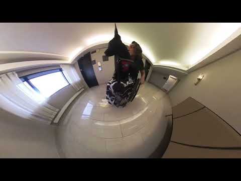 Chihuahua Service Dog in Action – Airport Strolls & Travel Vibes with My Tiny Hero! 🐾❤️