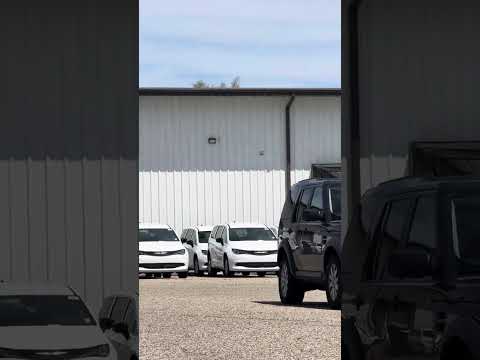 Dealer Reaction When I Rolled in With My Chair Was PRICELESS 😂 #DifferentlyAbled