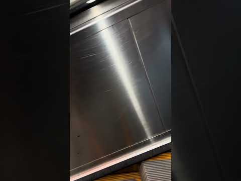 Daily Life With Disability in Medellín—Strong Steps Through the Hills 🛤️ #UniquelyAbled