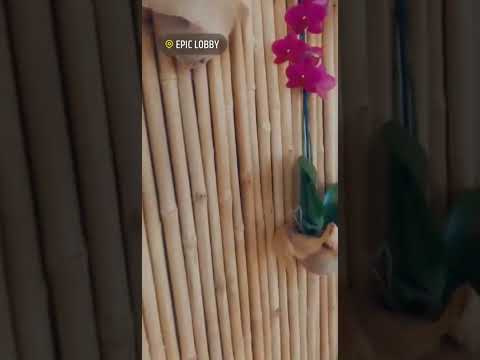 Day in the Life of An Artist: Are you ready for this art showcase_ Miami; let’s do it!