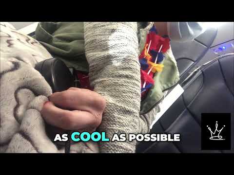 Service Dog Drama on Spirit Airlines: Confusing Policies in the Covid Era #AirlineDrama #TravelChaos