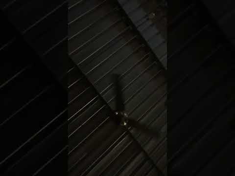 Dancing With Joy At My Art Show In Canggu With Live Music And Big Smiles 🎶 #abstractartist