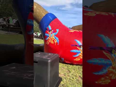 Day In The Life Traveling Abroad With My Service Dog 🐶 #differentlyabled