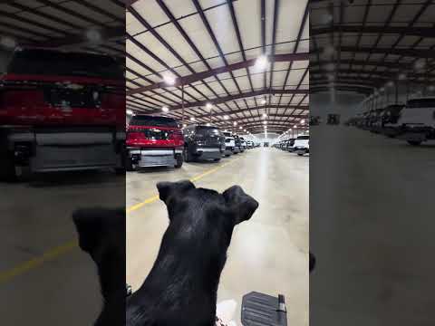 Solo Road Trip Adventure: Defying the Odds 🚙 #Travel #ArtistOnTheMove