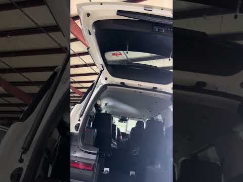 Ultimate Rear Ramp Ride Test: Art, Accessibility, and Ambition 🎨 #DisabilityDrive