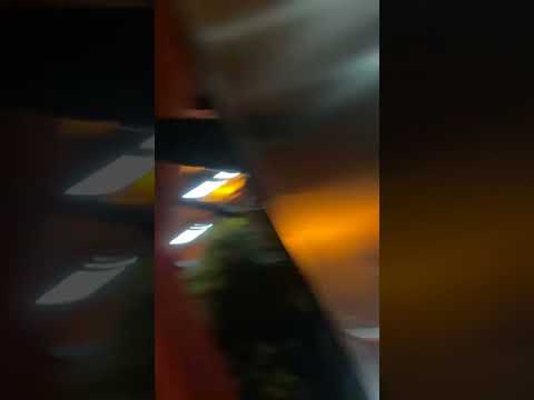 Walking With Purpose in Colombia: Empowering Journeys #ForearmCrutchesLife 🦶