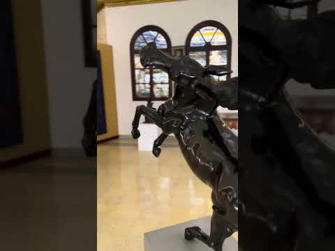 Medellín Art Adventure: Navigating on Forearm Crutches 🚶 #DifferentlyAbled #TravelVlog