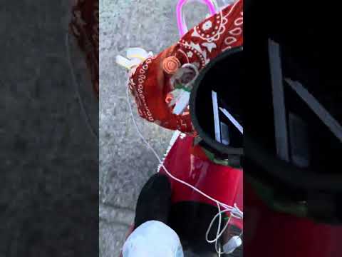 St Pete Float Fleet – Riding in Florida