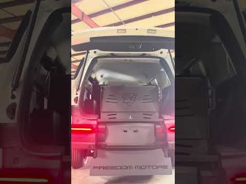 Revolutionizing Mobility for Disabled Artists 🚗 #CreativeFreedom #ArtForAll