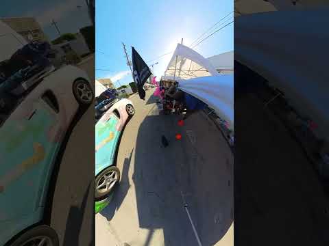 Florida Art Scene Meets My Colorful Creations 🎨 #floridaartist