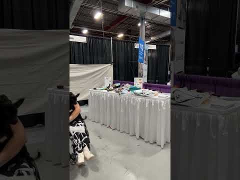 Watch This Differently Abled Artist Transform Her Booth Into A Live Art Space At Abilities Expo 🎨