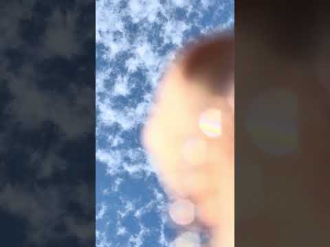 You’ll Be Shocked At This Abilities Expo Transport Driver Harassing A Disabled Woman 👩‍🎨