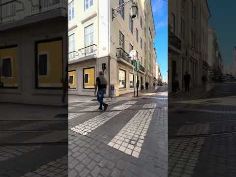 Culture Shock And Creative Energy In Every Lisbon Street 🌇 #inclusiveart