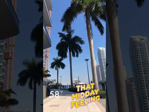 Day In The Life On A Rooftop In Miami Painting Differently Abled Art 💪 #differentlyabled